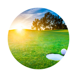 Image for choice number 3